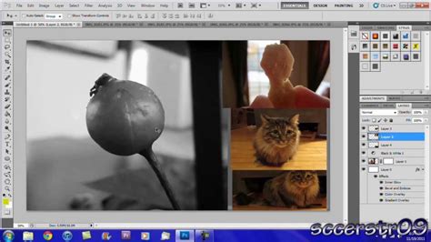 adobe photoshop tutorials cs5 PDF