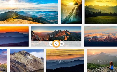 adobe stock pictures