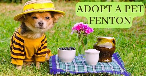 adopt a pet fenton