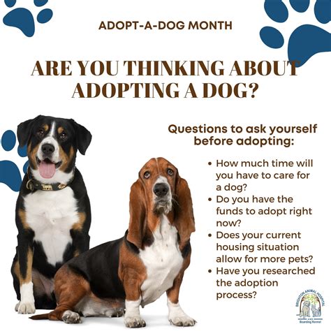 adopting dog everything before after Epub