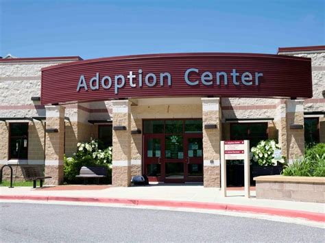 adoption center near me