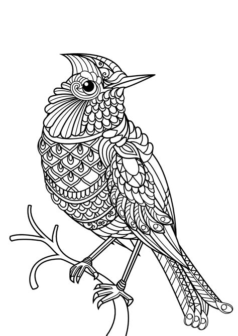 adult coloring book birds of the world Reader
