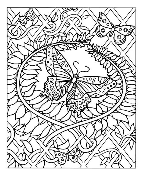 adult coloring book butterflies relaxation PDF