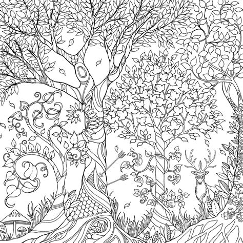 adult coloring book fantasy forest adult coloring books volume 2 Doc