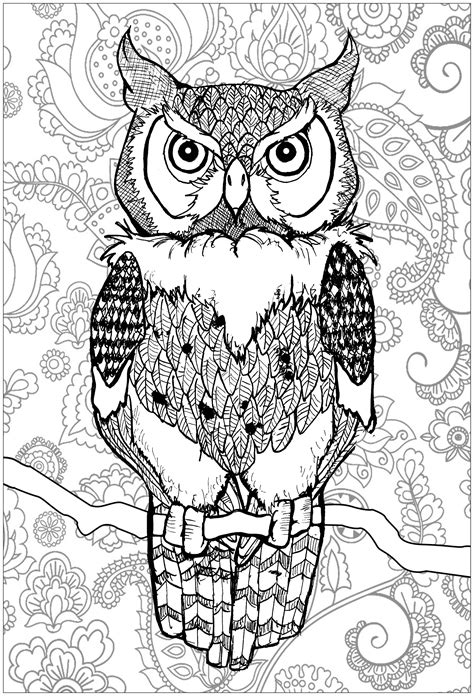 adult coloring book owls lover coloring book volume 6 Reader