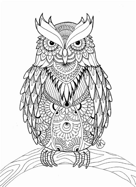 adult coloring books owls relaxing designs to color for adults Reader