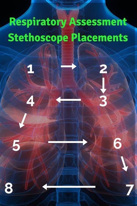 advanced assessment techniques of the respiratory system Epub