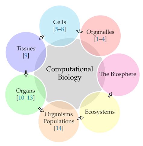 advances in computational biology advances in computational biology Kindle Editon