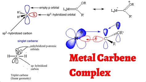 advances in metal carbene chemistry Reader