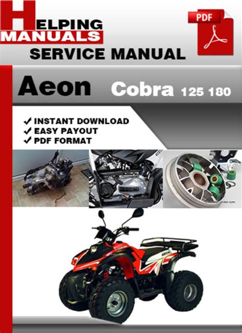 aeon cobra 100 repair manual Reader