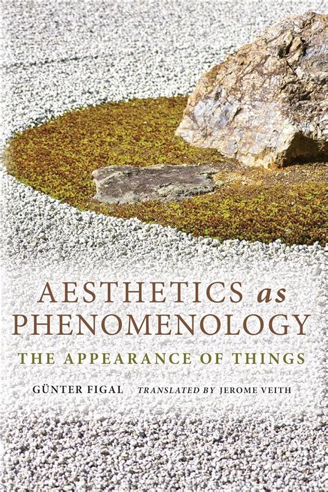 aesthetics as phenomenology the appearance of things PDF