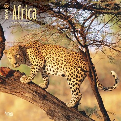 africa 2015 square 12x12 Kindle Editon