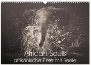 african souls afrikanische afrikanischen monatskalender Reader