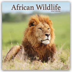 african wildlife 2016 afrikanische browntrout kalender Epub