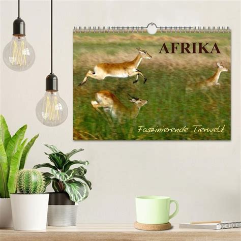 afrika faszinierende wandkalender afrikanische geburtstagskalender PDF