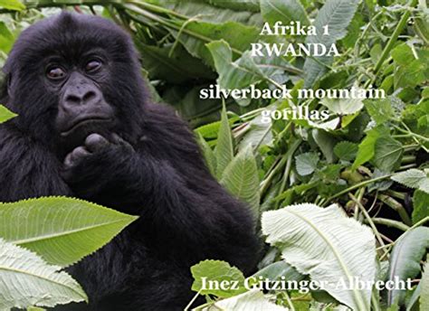 afrika ruanda silverback mountain fotodokumentation PDF