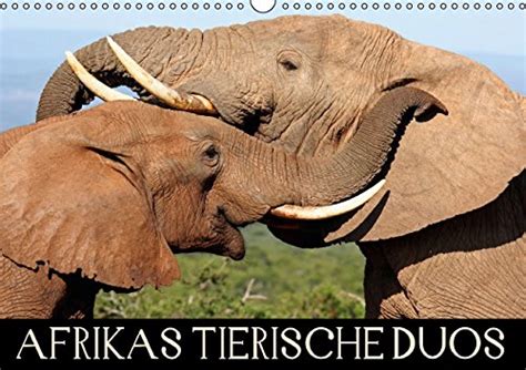 afrikas tierische duos wandkalender 2016 PDF