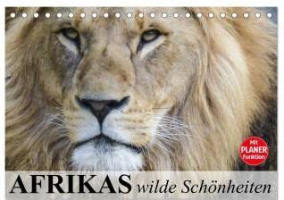 afrikas wildes kinderzimmer tischkalender 2016 Doc