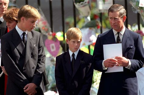 after diana william harry charles and the royal house of windsor Reader