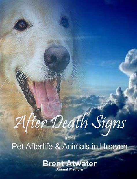 afterlife the journey of a dogs spirit Epub