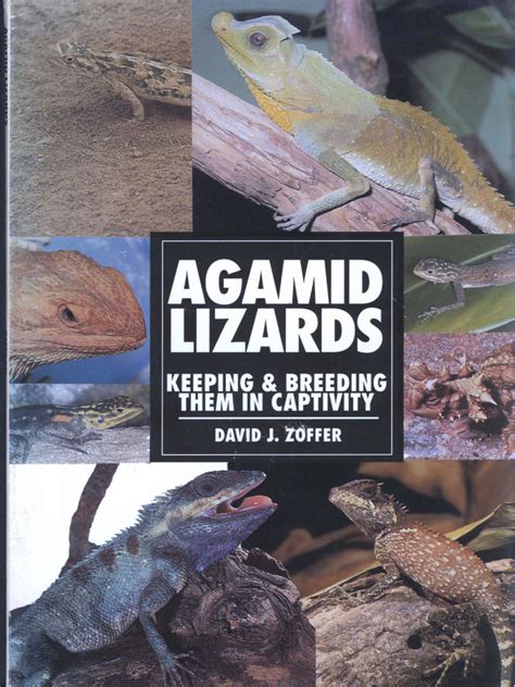 agamid lizards keeping andbreed herpetology series PDF