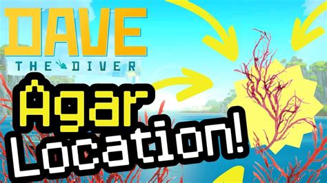 agar dave the diver