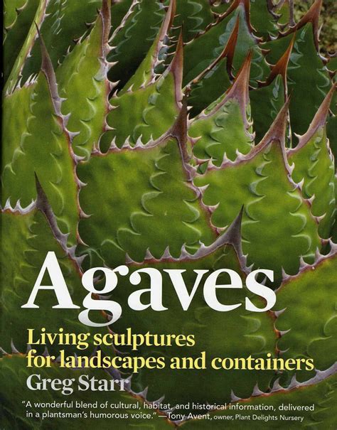 agaves living sculptures for landscapes and containers Doc