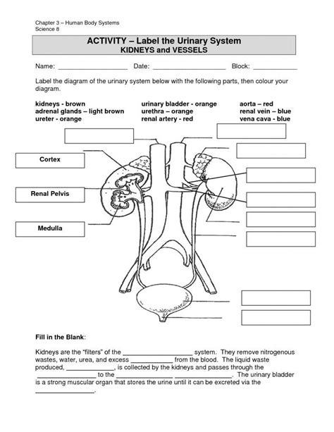 agc united learning answers science excretory system PDF