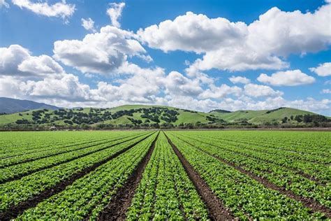 agriculture jobs in california