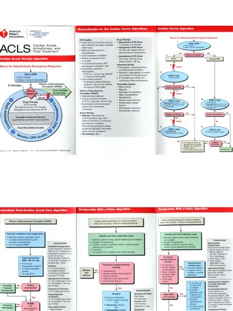 aha acls pocket guide pdf PDF