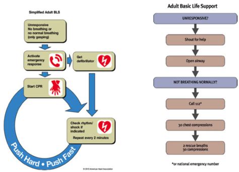 aha bls guidelines 2011 Doc