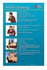 aha choking guidelines 2013 PDF