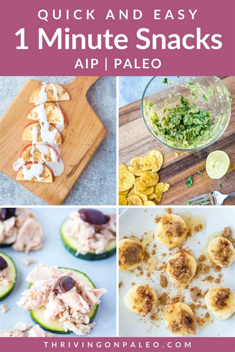 aip and paleo snacks and quick lunches Epub