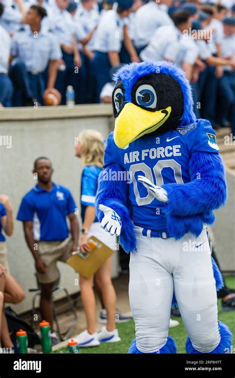 air force university mascot