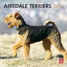 airedale terriers calendar multilingual edition Kindle Editon