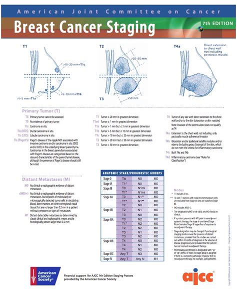 ajcc breast staging 7th edition Reader