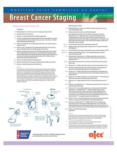 ajcc cancer staging manual 7th edition pdf free PDF
