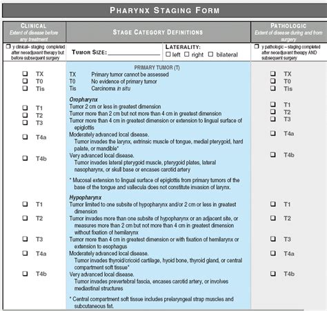 ajcc staging manual 7th edition free download Epub