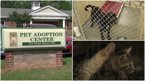 alamance animal shelter