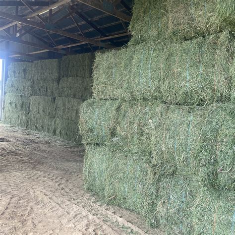 alfalfa hay for sale near me