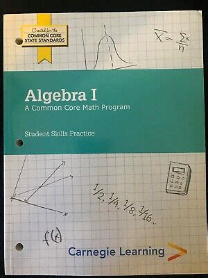 algebra 1 carnegie skills practice answers Epub