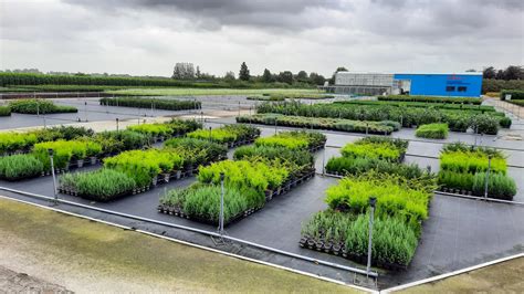 algemeene plantenteelt nederlandse land en tuinbouwbibliotheek Reader