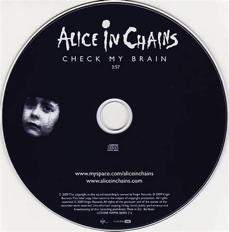 alice and chains check my brain