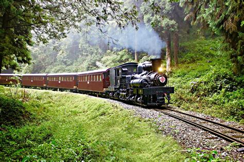 alishan forest railway tickets