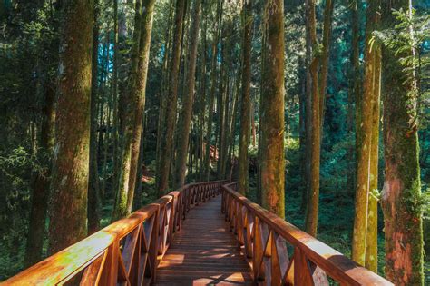 alishan hiking