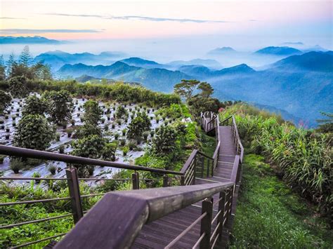 alishan trail