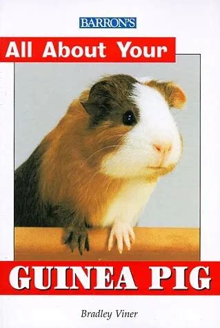 all about your hamster all about yourâ…series Epub