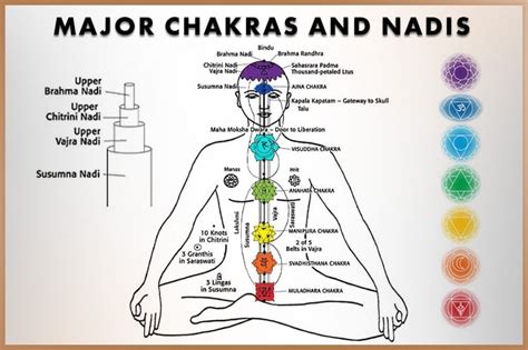 all you wanted to know about chakras and nadis PDF