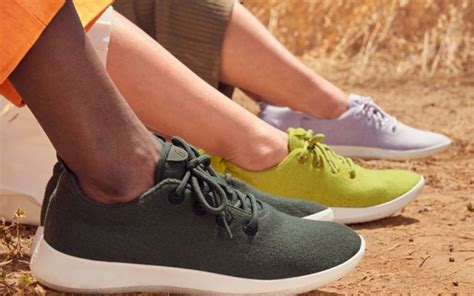 allbirds sneakers