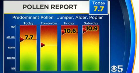 allergen levels near me